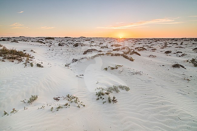 Ras Madrakah, Oman stock-image by Agami/Ralph Martin,