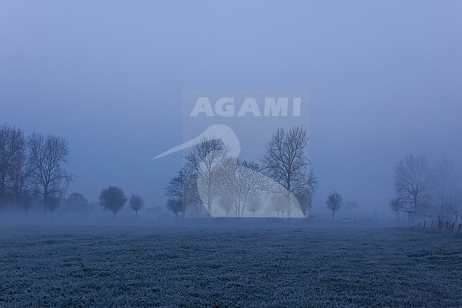 Winter in Vecht en Zwarte water; Winter in Vecht en Zwarte water stock-image by Agami/Theo Douma,