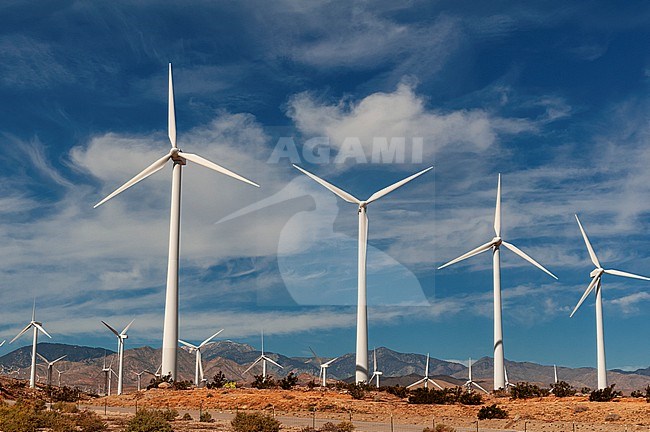 Rows of windmills on a wind farm. Palm Springs, California. stock-image by Agami/Sergio Pitamitz,