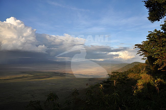 Ngorongoro krater, Ngorongoro crater (Tanzania) stock-image by Agami/Laurens Steijn,