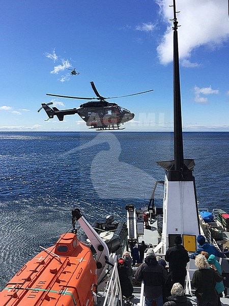 Emergency helicopter evacuation rescue in the Auckland islands during an expedition cruise in subanarctic new Zealand. Another spare helicopter in the background, for safety reasons. stock-image by Agami/Marc Guyt,