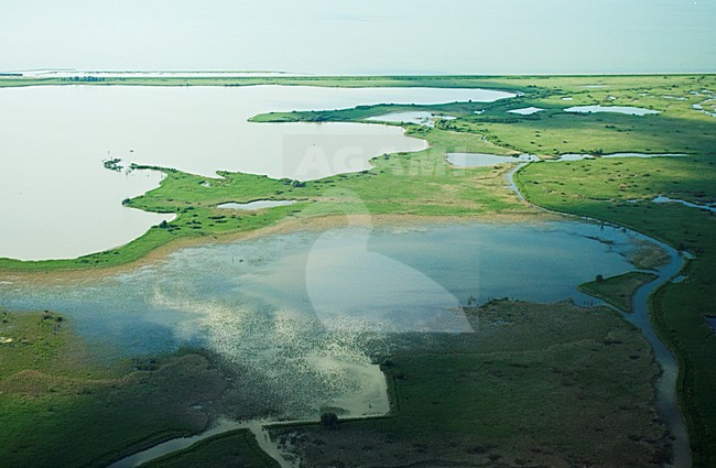Luchtfoto van de Oostvaardersplassen; Aerial photo of the Oostvaardersplassen stock-image by Agami/Marc Guyt,