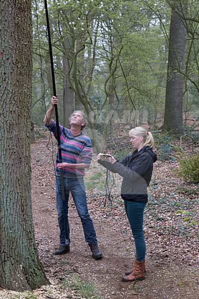 Vleermuisonderzoekers met boomcamera, Batresearchers with treecamera stock-image by Agami/Theo Douma,