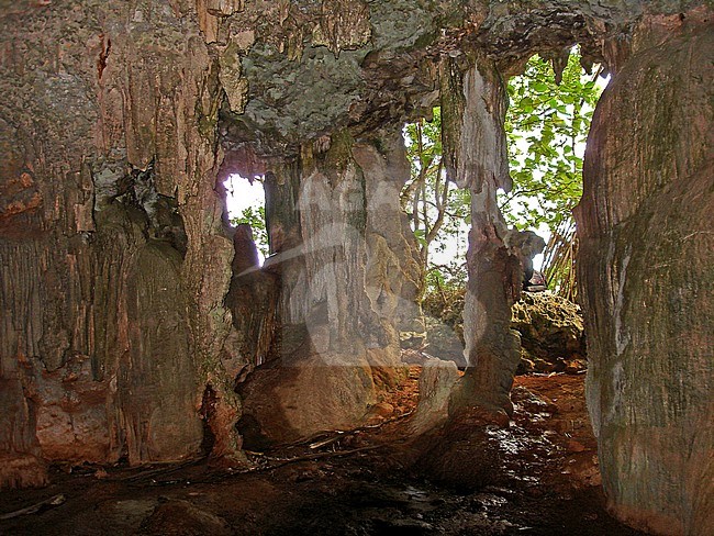 Scenery Mangaia Caves, Polynesia stock-image by Agami/Pete Morris,