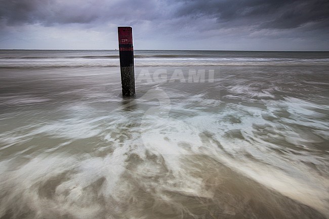  stock-image by Agami/Wil Leurs,