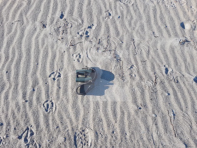  stock-image by Agami/Nicolas Bastide,