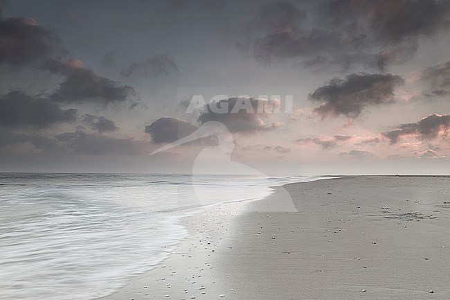Breakers on the North Sea beach stock-image by Agami/Wil Leurs,