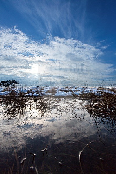 Winterlandschap FochteloÃ«rveen, winter landscape FochteloÃ«rveen stock-image by Agami/Wil Leurs,