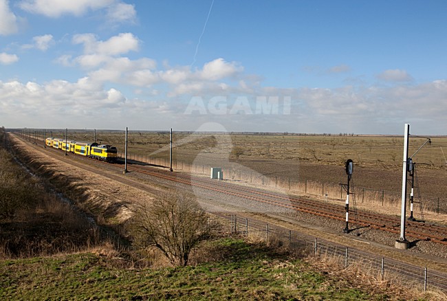Praambult Oostvaardersplassen stock-image by Agami/Roy de Haas,