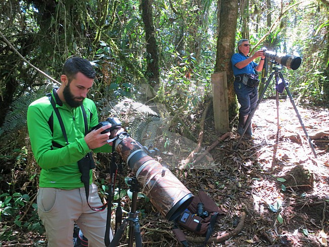 bird photographers, Rio Blanco, Colombia stock-image by Agami/Marc Guyt,
