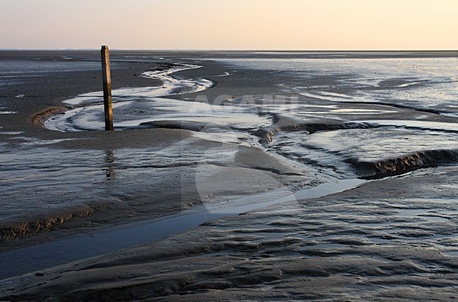 Schiermonnikoog tijdens laag tij. Schiermonnikoog during low tide. stock-image by Agami/Jacques van der Neut,