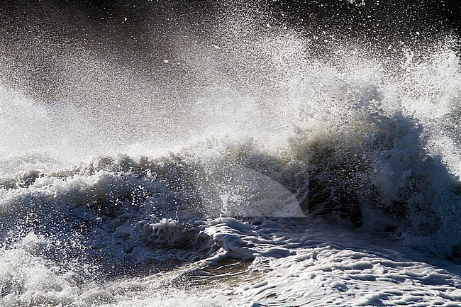 Panoramic view of the Netherlands. Big waves crashing over the pier of Ijmuiden, Netherlands during severe storm over the North Sea. stock-image by Agami/Menno van Duijn,