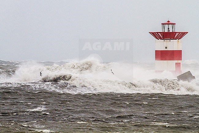 Winter Storm at pier of Scheveningen overcast stock-image by Agami/Menno van Duijn,