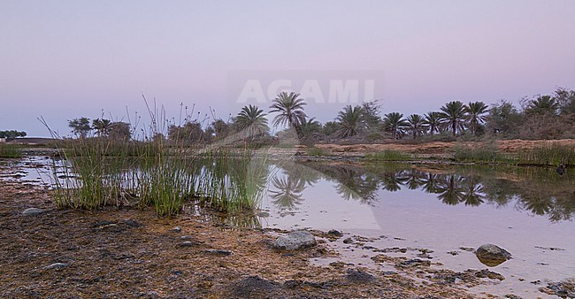 Landscape Northern Oman stock-image by Agami/Ralph Martin,