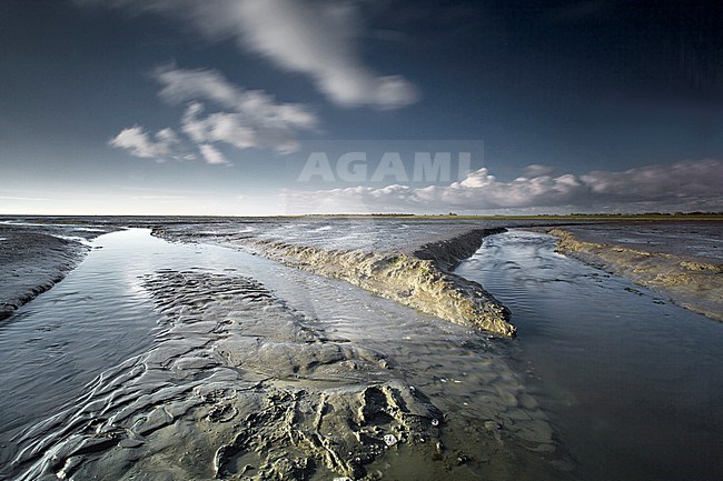 Tide changes at Schiermonikoog stock-image by Agami/Wil Leurs,