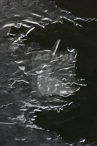 ijsvorming; ice stock-image by Agami/Menno van Duijn,