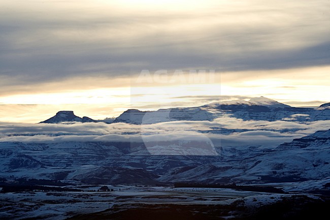 Underberg, Drakensbergen, South-Africa stock-image by Agami/Marc Guyt,