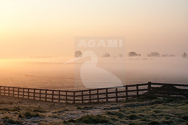 Golden morning light in a misty landscape at Ouderkerk stock-image by Agami/Marc Guyt,