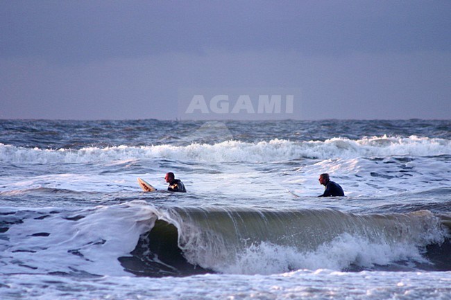 Surfers in de branding, Surfers in the surf stock-image by Agami/Bas Haasnoot,