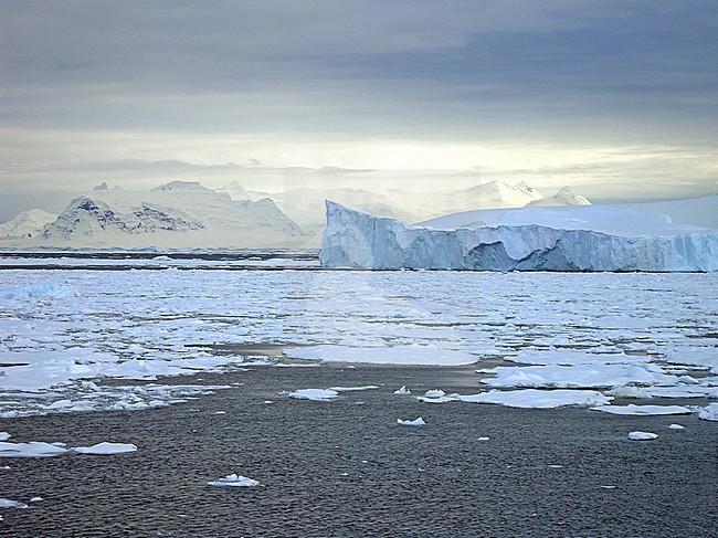 Gerlache Straits scenery, Antarctica stock-image by Agami/Pete Morris,