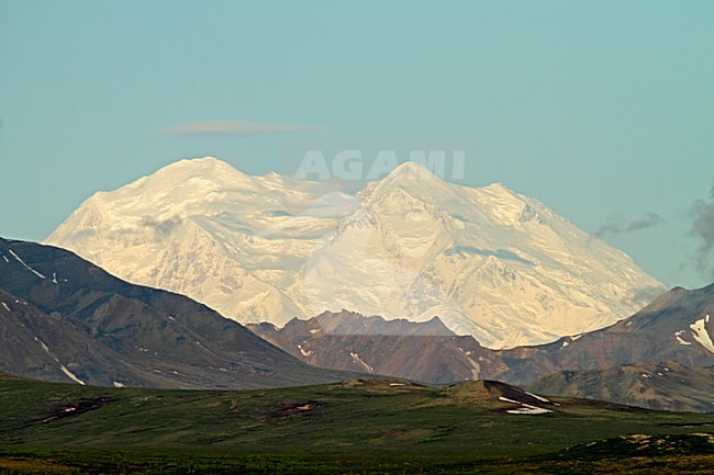 Denali NP stock-image by Agami/Pete Morris,