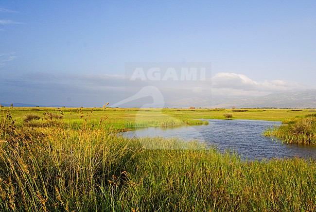 Skala Kalloni moeras op Lesbos; Skalla Kalloni marshes on Lesvos stock-image by Agami/Marc Guyt,
