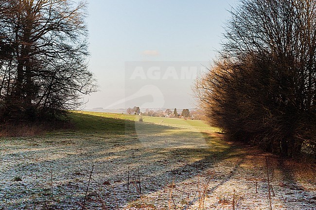 Uitzicht op dorp tussen bos door; View at village through forest stock-image by Agami/Marc Guyt,