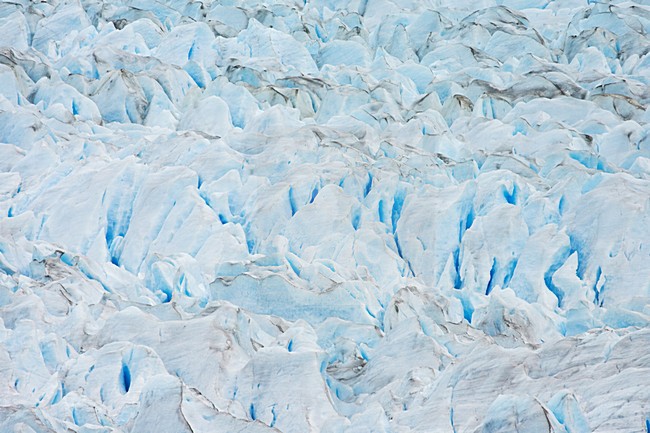 detail glacier, Los Glacieres, National park, Argentina stock-image by Agami/Marc Guyt,
