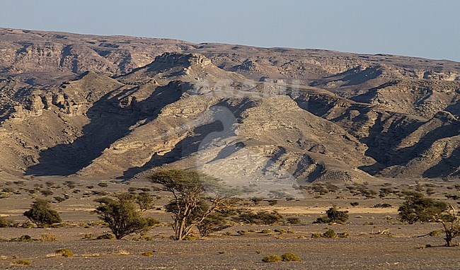 Landscape Northern Oman stock-image by Agami/Ralph Martin,