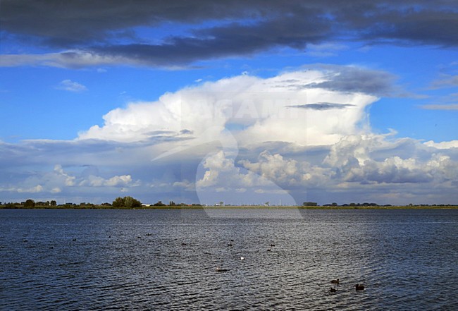 Reeuwijkse plassen, Nederland / Netherlands stock-image by Agami/Marc Guyt,