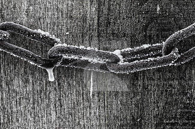 Bevroren schalmen, frozen Chain links stock-image by Agami/Wil Leurs,