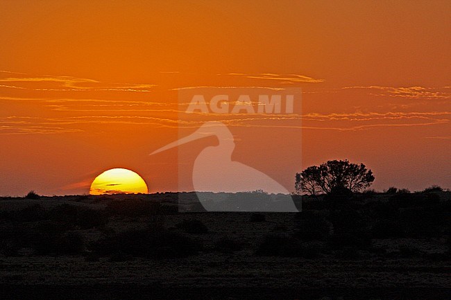 Sunrise over the Australian outback stock-image by Agami/Pete Morris,