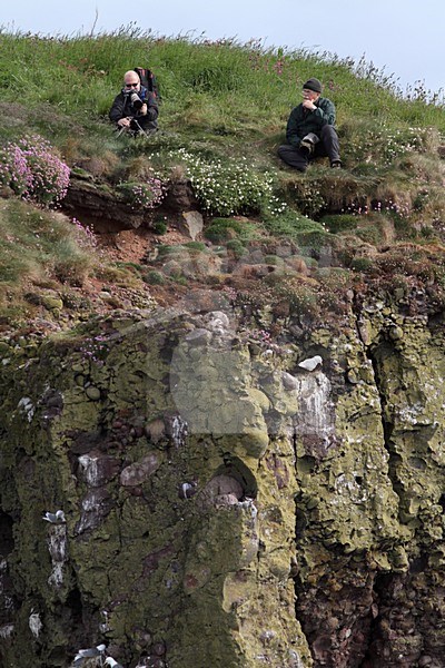 Bezoekers op de Farne Eilanden, Visitors at the Farne Islands stock-image by Agami/Chris van Rijswijk,