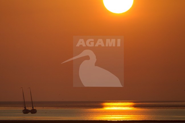 Zeilboot op het wad bij ondergaande zon; Sailing boat on the Waddensea, Texel stock-image by Agami/Harvey van Diek,