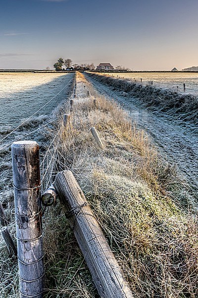 Tuunwallen at the Hoge Berg on Texel stock-image by Agami/Onno Wildschut,