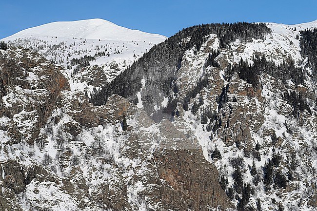 Snow covered Sredna Gora mountains near Koprivshtitsa, Bulgaria. stock-image by Agami/Marc Guyt,