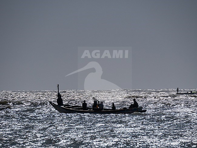 Typical landscape in the Gambia. Fisherman fishing at sea. stock-image by Agami/Hans Germeraad,