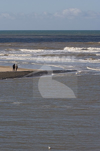Uitwatering Katwijk stock-image by Agami/Arnold Meijer,