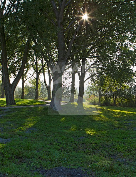 Kromslootpark Almere stock-image by Agami/Roy de Haas,