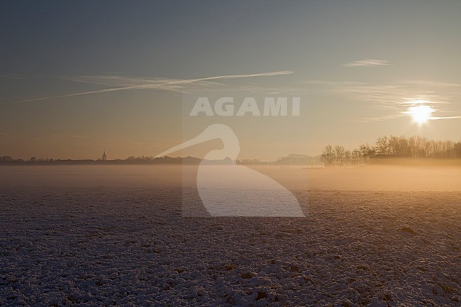 Weiland met sneeuw en zonsopkomst, Meadow with snow in sunrise stock-image by Agami/Roy de Haas,