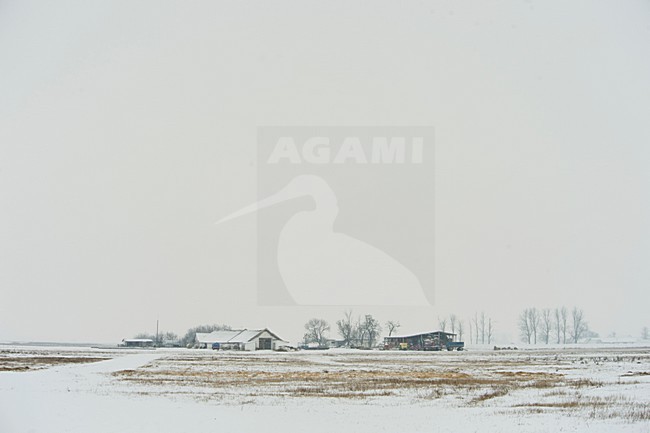 Boerderij in winters landschap, Farm in winter landscape stock-image by Agami/Rob de Jong,