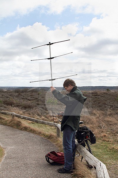 Man houdt antenne in lucht om Korhoenders te traceren; Man holding antenne for tracking Black Grouse stock-image by Agami/Chris van Rijswijk,