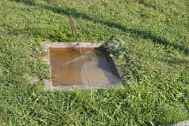 Ringstation; Ringingstation stock-image by Agami/Chris van Rijswijk,