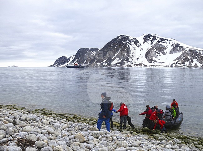 Landing op Vogelsang, Spitsbergen; Landing on Vogelsang, Svalbard stock-image by Agami/Marc Guyt,