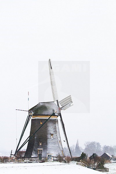  stock-image by Agami/Menno van Duijn,