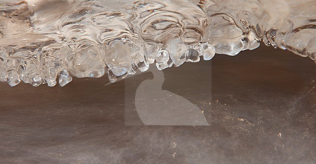 Water en ijs; Water and Ice stock-image by Agami/Han Bouwmeester,