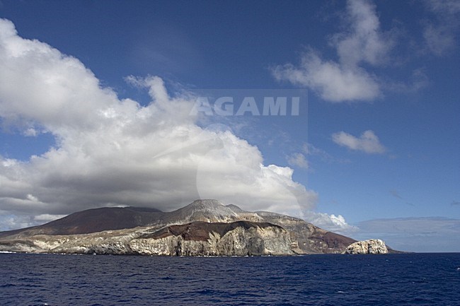 Boatswaindbird Island Ascension; Boatswaindbird eiland Ascension stock-image by Agami/Marc Guyt,