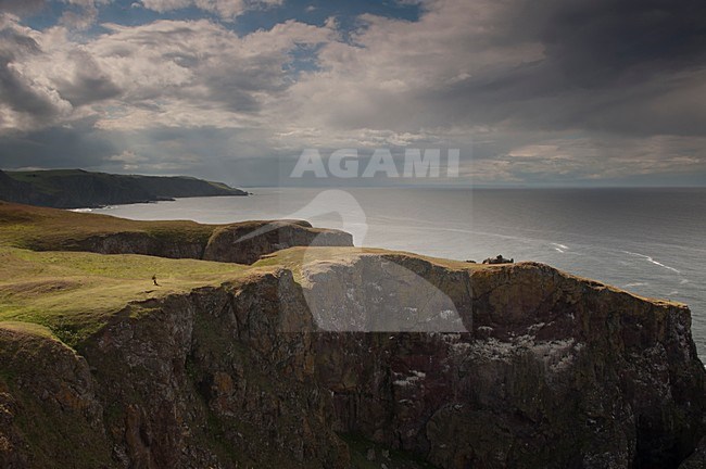 Saint Abbs Head Scotland stock-image by Agami/Han Bouwmeester,