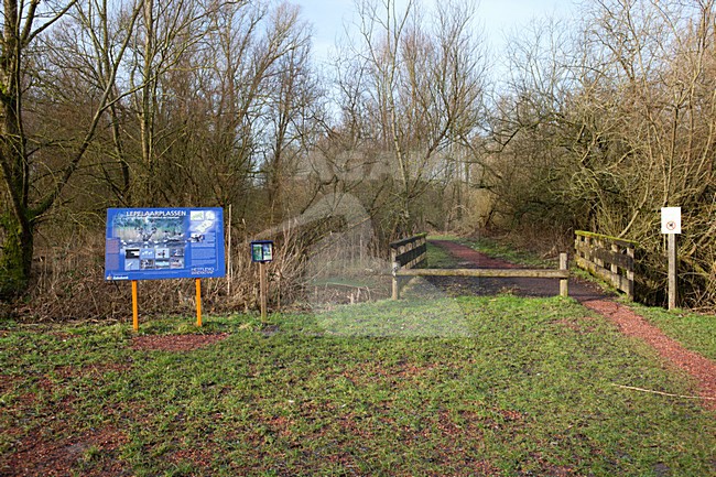 Observatiehut de Lepelaarsplassen stock-image by Agami/Roy de Haas,