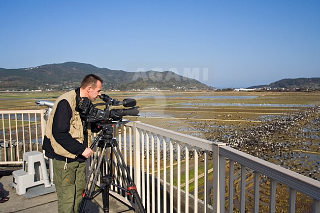 Natuurfilmer in Japan; Wildlife filmer in Japan stock-image by Agami/Marc Guyt,